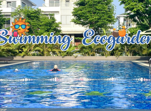 Hè về rồi, đến bể bơi Ecogarden thôi!